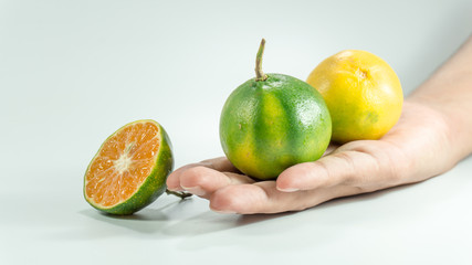 Tangerines and slices on the white background