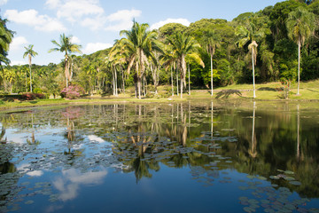 Plakat Lake Landscape View