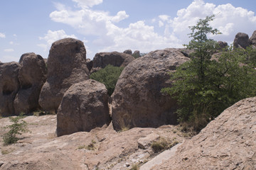 Fototapeta na wymiar City of Rocks State Park in New Mexico