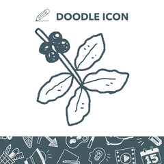 coffee bean fruit doodle