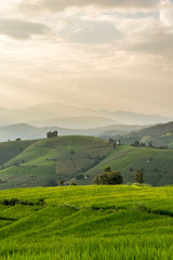 Fototapeta premium Rice terraces