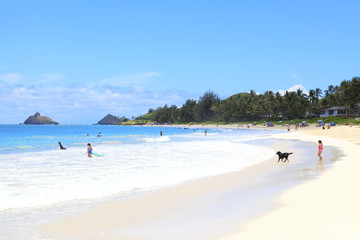 Fototapeta premium カイルアビーチ