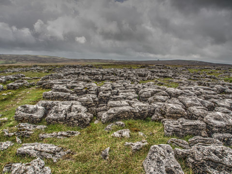 Limestone pavement, Cumbria, England