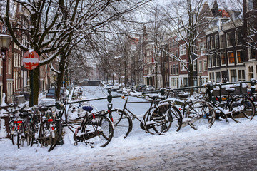 Iced up bicycles and canal boats around a frozen canal in Amsterdam overlooked by deciduous trees and brick terrace houses.