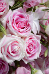 Obraz na płótnie Canvas Pink rose bouquet in closed-up.