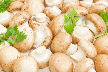 Background of the button mushrooms with parsley twigs