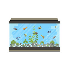 Cartoon vector home aquarium illustration with water, plants and fish.