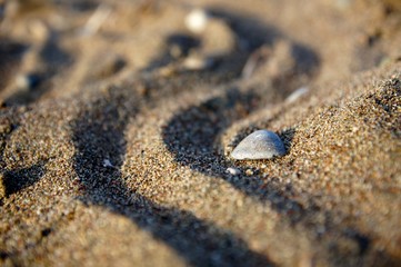 Traces de sable et coquillage