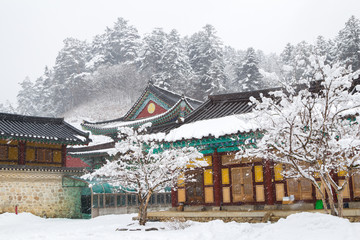 Beautiful winter landscape with snow covered trees and asian temple Odaesan Woljeongsa in...