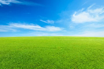 Foto auf Acrylglas Sommer grünes Gras unter blauem Himmel