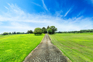 Flooring brick footpath in green park