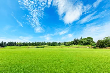 Fotobehang Zomer Groen veld en blauwe lucht