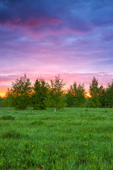 summer rural landscape with forest, a meadow and  sunrise