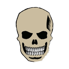 skull of pirate dead mystery symbol