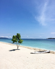 Idyllic view of clean white beach with transparent water, lonely tree, blue sky and kayak