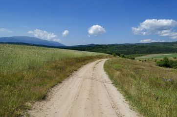 Fototapeta na wymiar Plana mountain in summer, Bulgaria