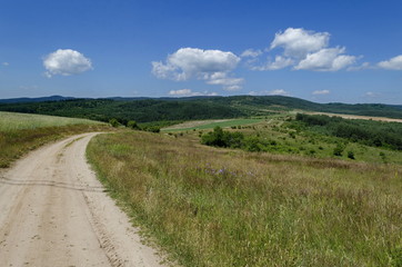 Fototapeta na wymiar Plana mountain in summer, Bulgaria