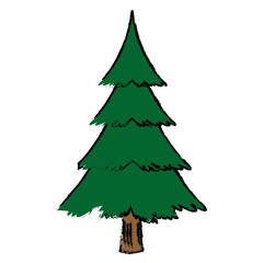 christmas tree pine decoration ornament