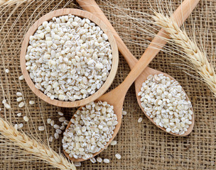 pearls barley grain seed on background