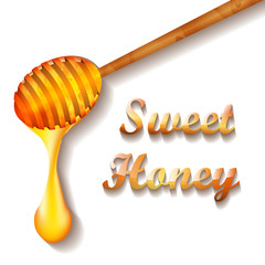 Honey. Sweet treat. Bees. Useful vitamins. Honeycomb. For your design.