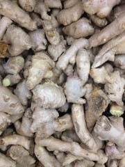 ginger background