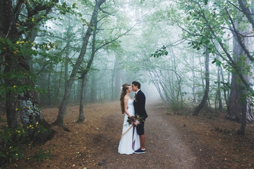 Fototapeta premium Bride and groom walking in autumn forest. Amazing autumn fog and mystery mood. Beautiful nature around