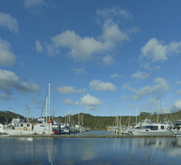 Large yachts in the Whitianga, Coromandel Marina in New Zealand