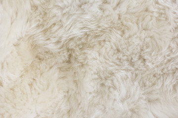 Fur Texture./Fur Texture 