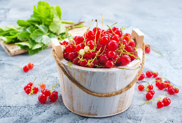 red currant