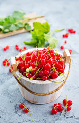red currant