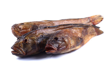 Three Marine Goby on a white background (isolated)