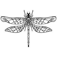 Hand drawn Sketch Dragonfly Vector tattoo