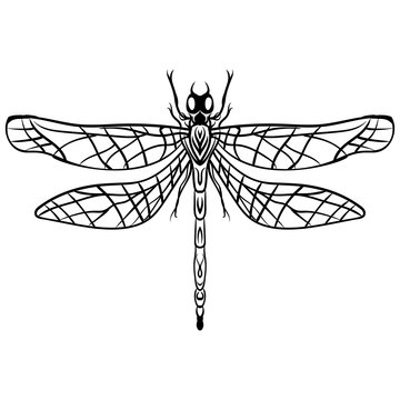 Hand drawn Sketch Dragonfly Vector tattoo