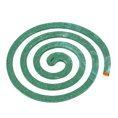 Coil of green mosquito repellent on white background
