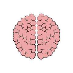 human brain anatomy idea think