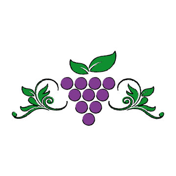 recommend clip art: stylized grapes leaves wine design element for organic