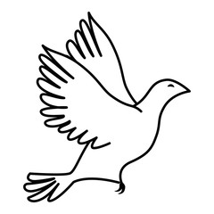 dove bird icon over white background vector illustration