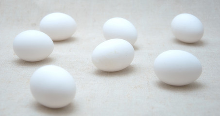 White chicken eggs.