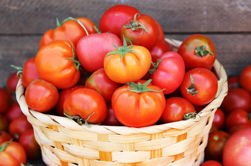 Fresh tomatoes. Harvest tomato.