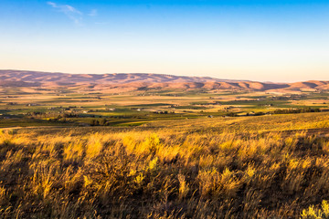 Washington Farmland