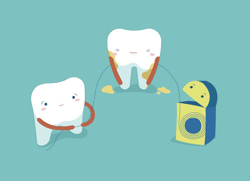 Use dental floss white healthy teeth ,teeth and tooth concept of dental