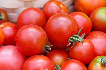 Fresh tomatoes. Harvest tomato.
