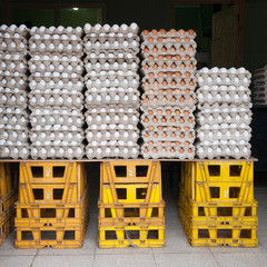 Piled eggs, Santiago, Guatemala