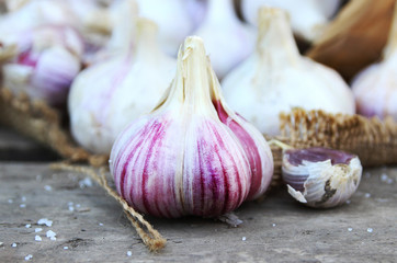 Garlic crop. Summer vegetables and garden