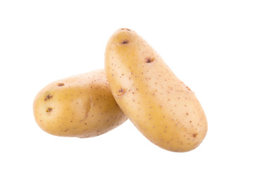 Ripe golden potato on white background. Vegetarian food. French fries or mashed potato ingredient