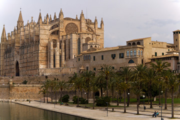 Fototapeta na wymiar La Seu, Palma de Mallorca