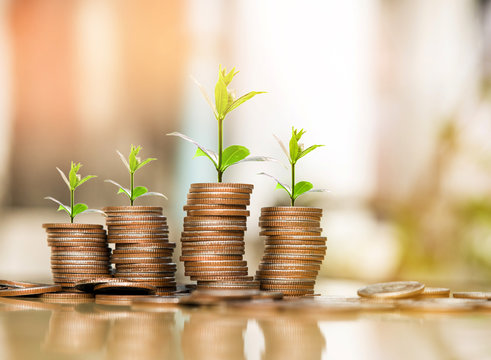 step of coins stacks with tree growing on top, nature background, money, saving and investment or family planning concept, over sun flare silhouette tone.