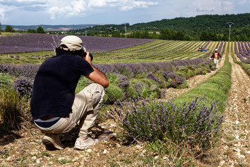 Photographier champ lavande