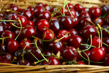Ripe cherry