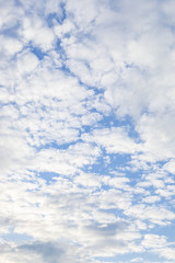 Clouds in a blue sky